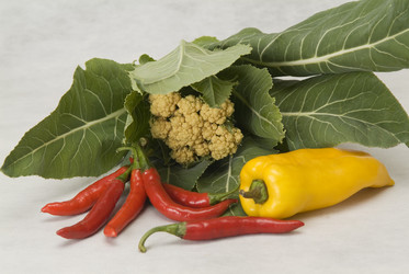 Similar image 846247