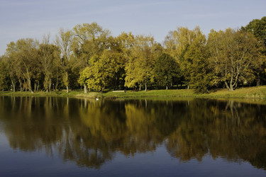 Similar image 846340