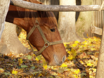 Similar image 846393