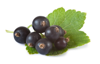 Similar image 846409