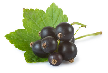 Similar image 846410