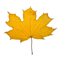 Similar image 846412