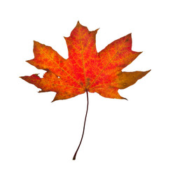 Similar image 846415