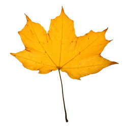 Similar image 846416