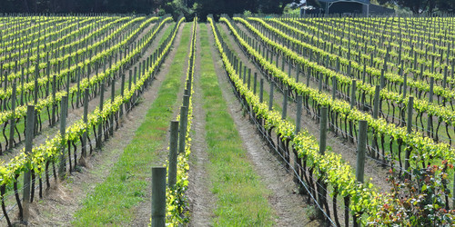 Similar image 846420