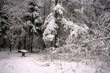 Similar image 846422