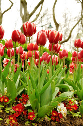 Similar image 846512