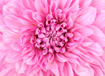 Similar image 846516