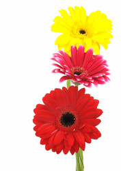 Similar image 846567