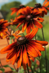 Similar image 846580