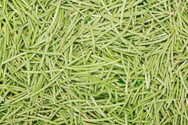 Similar image 846584