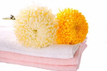 Similar image 846607