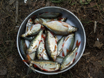 Similar image 846678