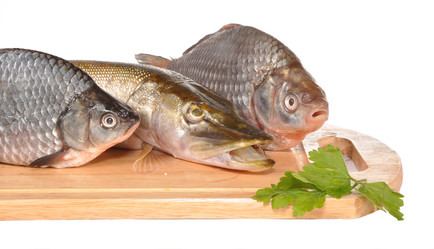 Similar image 846758