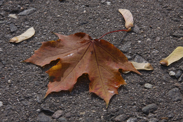 Similar image 846815