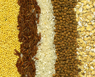 Similar image 846874