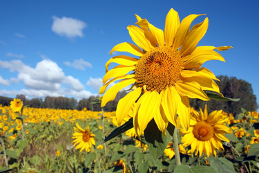 Similar image 846894