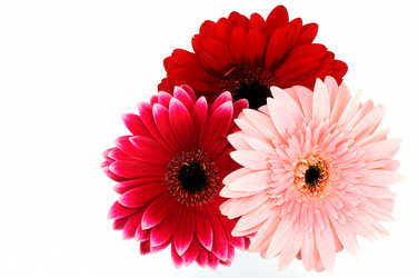 Similar image 846926