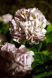 Similar image 846964