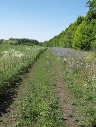 Similar image 846975