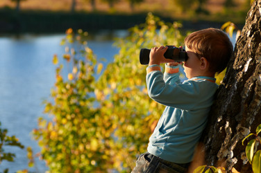 Similar image 846981