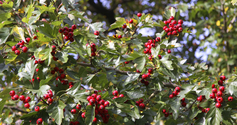 Similar image 846987