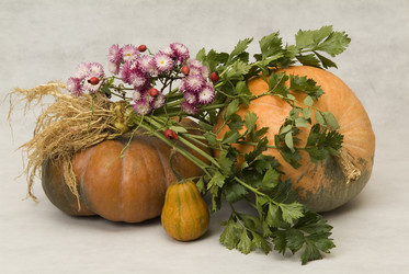 Similar image 846992