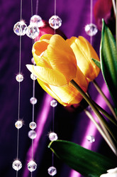 Similar image 846994