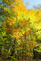 Similar image 846995