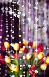 Similar image 846997