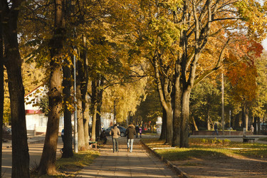 Similar image 847000