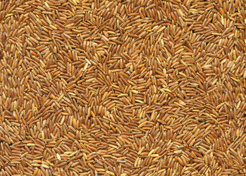 Similar image 847018