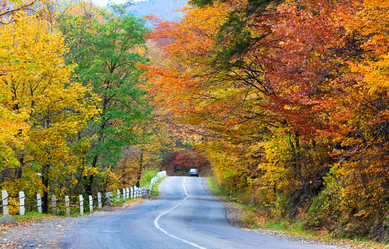 Similar image 847023