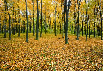 Similar image 847027