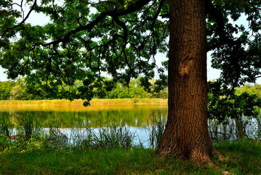 Similar image 847034