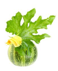 Similar image 847074