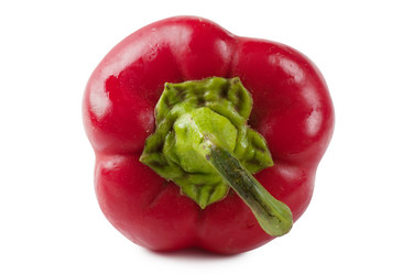 Similar image 847127