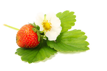 Similar image 847131