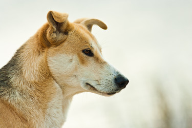 Similar image 847192