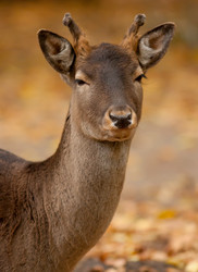 Similar image 847198