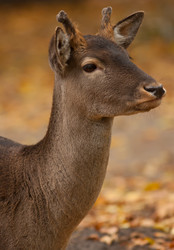 Similar image 847199