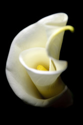 Similar image 847238