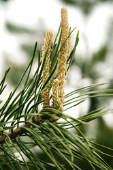 Similar image 847322