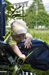 Similar image 847353