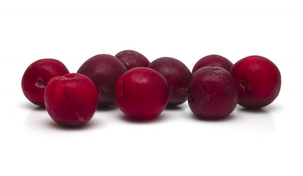 Similar image 847354