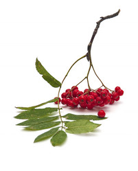 Similar image 847357