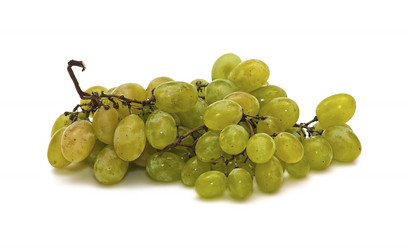 Similar image 847358