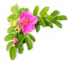 Similar image 847376