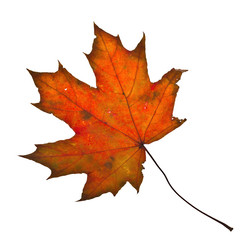 Similar image 847545