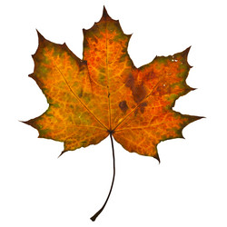 Similar image 847547